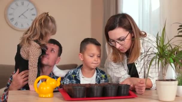 Mom and Dad teach children how to plant plants. They transmit knowledge. — Stock Video