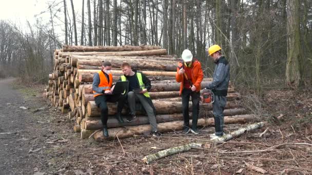 Konfliktní situace pracovníků při těžbě dřeva. Manažer hubuje zaměstnance. — Stock video