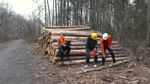 Los silvicultores preparan el árbol para el transporte, cortan el tronco. El trabajador usa sierra. — Vídeos de Stock