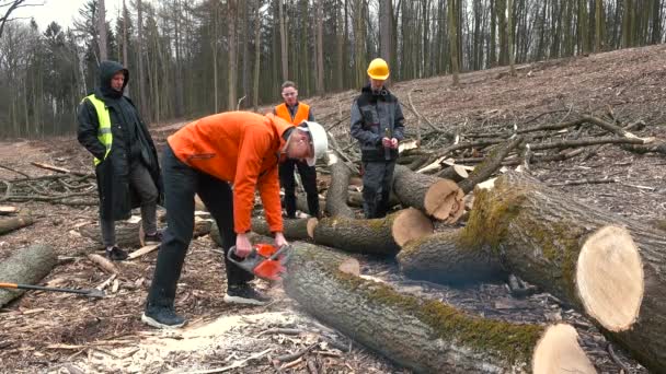 Taglialegna uomo utilizza motosega legno tagliato Ritratto lavoratore forestale professionale — Video Stock