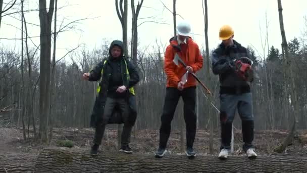 일꾼 들은 즐거운 급료와 주말을 가로채며 나무를 추었다. 긍정적 인 직원의 동기. — 비디오