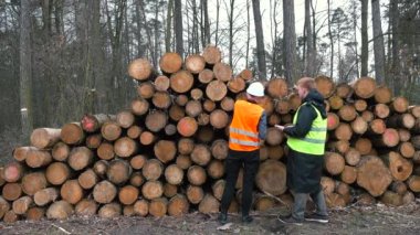 Sert şapkalı iki işçi özel ağaç deposunu tartıştılar. İletişim kurdular.