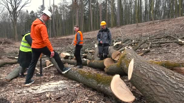 一群工人在伐木场搬运原木。他们抓住树干锯木. — 图库视频影像