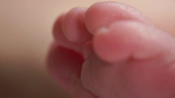 Нога новорожденного ребенка. Он спит, движение пальцев во сне — стоковое видео