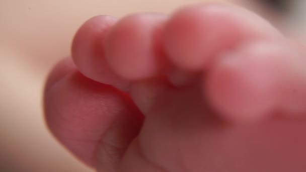 Les orteils d'un nouveau-né pieds en plan macro. Rayures, motif sur la peau — Video