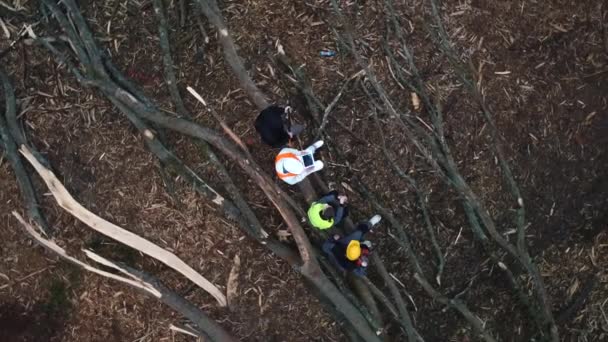 Камера кругового руху над робітниками, що сидять на дереві в лісі . — стокове відео
