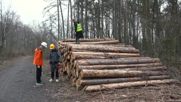 I lavoratori parlano vicino a tronchi accatastati di alberi. Progettazione motosega. — Video Stock