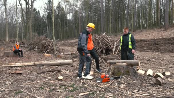 Gerente dice plan para el final del trabajo al equipo de silvicultores. — Vídeo de stock