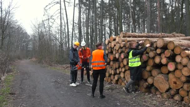 Pilařští dělníci prodávají dřevo Měření průměru hlavně pro výpočet ceny výrobku — Stock video