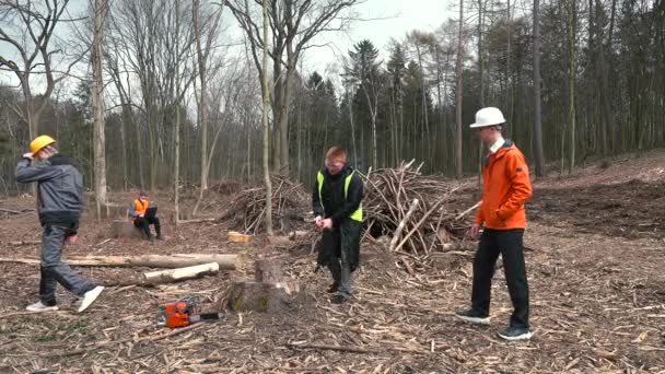 De boswachter snijdt een boom met een bijl. Houtkap, houtbewerking voor transport. — Stockvideo