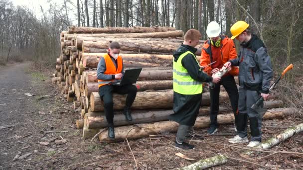 集体伐木工人谈话讨论片木料分析木料加工 — 图库视频影像