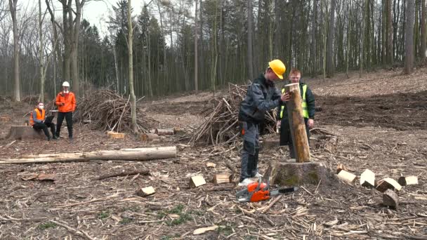 Egy fakitermelő rönköt helyez el feldolgozásra. Az igazgató szerint a munkaterv. — Stock videók