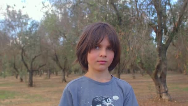 Portret chłopca w gaju oliwnym. Natura kocha pokolenie dba o drzewa. — Wideo stockowe