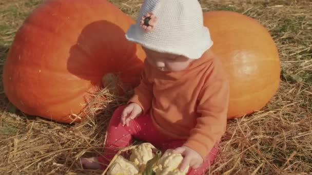 Klein meisje raakt rijpe groenten handen ze bestudeert oppervlak tactiel contact — Stockvideo