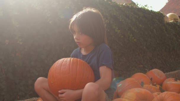 Długowłosy chłopiec siedzi z dynią w rękach. Warzywa pomarańczowe leżą niedaleko. — Wideo stockowe