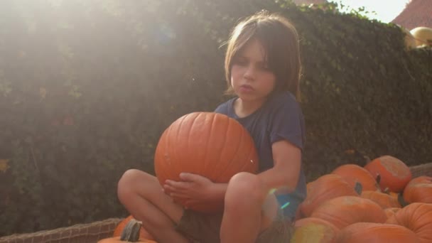 Bauernsohn erzählt von der Gemüseernte und hält riesigen orangefarbenen Kürbis in der Hand. — Stockvideo