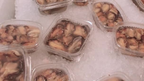 Närbild av musslor och skaldjur på is på marknaden. Import och försäljning av skaldjur. — Stockvideo