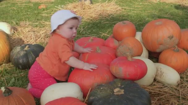 Bebé con calabazas. Los niños usan todos sus sentidos para explorar el medio ambiente. — Vídeo de stock