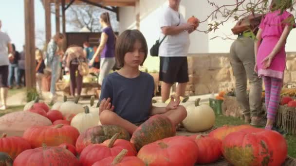 Dítě medituje v lotosové poloze, sedí s oranžovými dýněmi, farmářský trh. — Stock video