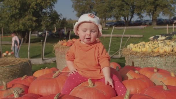 Het kleine meisje zit op rode pompoenen. Milieu in de landbouw. — Stockvideo
