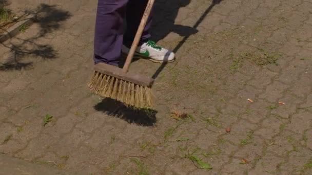 Deux ouvriers balayent la rue dans le parc de la ville. Ils nettoient la zone. Saleté de collecte. — Video