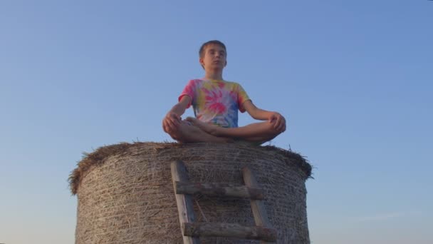 Een jongen mediterend in de natuur. Geestelijke gezondheid van schoolkinderen. Blauwe lucht, blijf kalm.. — Stockvideo