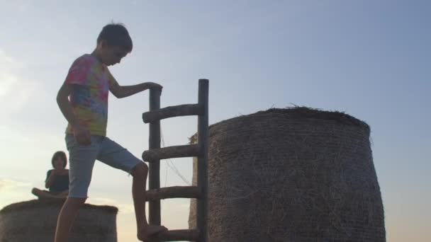 Chlapec pózuje se žebříkem. Silueta proti obloze. — Stock video