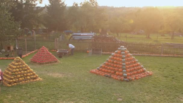 Piramidy są wykonane z dyń na festiwalu zbiorów na farmie — Wideo stockowe