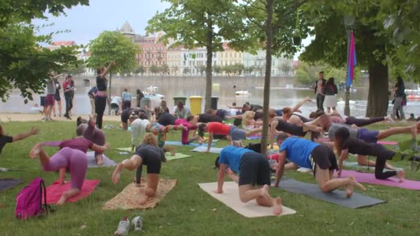 Stile di vita attivo in gruppo parco cittadino di persone che fanno allenamento del corpo su stuoie. — Video Stock