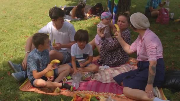 Большая семья веселится на пикнике в городском парке. Они общаются с друзьями. — стоковое видео