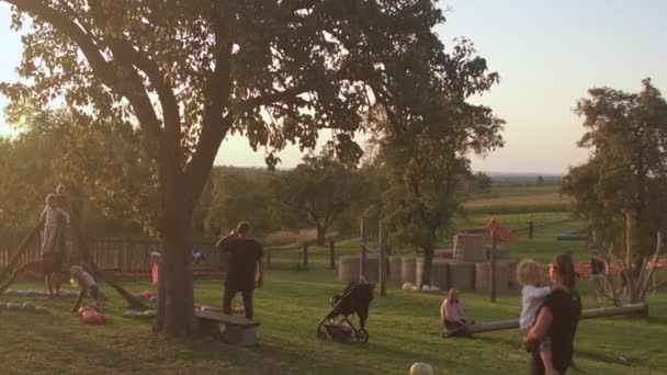 Les gens marchent sur l'herbe, passant du temps libre avec leur famille. — Video