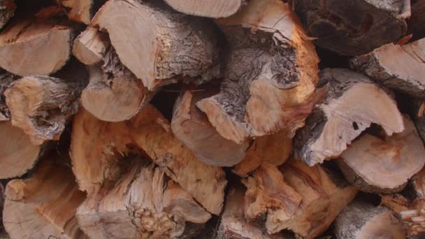 Brandhout gestapeld, hout droogt. Houten materiaal dat wordt verzameld en gebruikt voor brandstof — Stockvideo