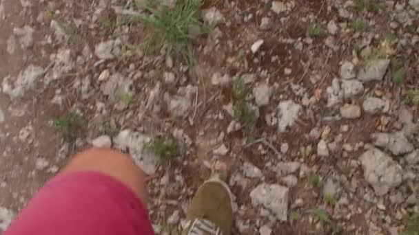 Vista de los pies masculinos en zapatillas de deporte pasos a lo largo del camino cerca del bosque. Las piernas del joven. — Vídeo de stock