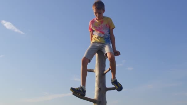 Der Junge klettert von oben an den Ästen eines abgestorbenen Baumes entlang. Umwelt. — Stockvideo