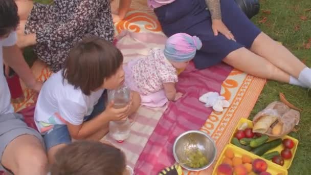 Камера навколо великої родини на пікніку в міському парку. Рука бере виноград . — стокове відео