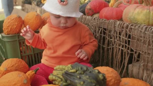 Bebé jugar con una calabaza verde en el mercado de agricultores, las manos de las madres — Vídeos de Stock