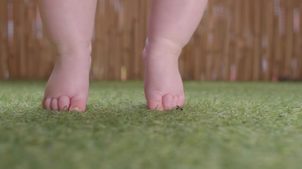 Bebek ayakları yeşil çimlerin üzerinde. Yükselip alçalıyorlar, hareketler yapıyorlar.. — Stok video