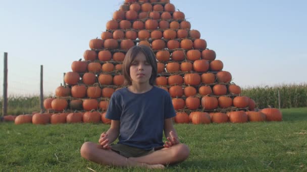 Un bambino in procinto di meditare in natura. Una montagna di zucche arancioni. — Video Stock