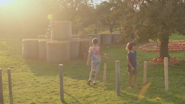 Aktywne gry na świeżym powietrzu dla dzieci na wsi. Regularna aktywność fizyczna. — Wideo stockowe