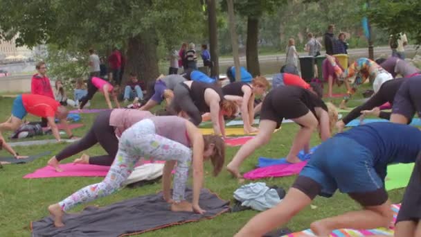 マットで体のトレーニングを行う人々の都市公園グループでのアクティブなライフスタイル. — ストック動画