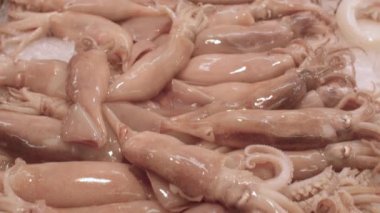 Tezgahta buzda kalamar resmi var. Deniz ürünleri ithalatı ve satışı..