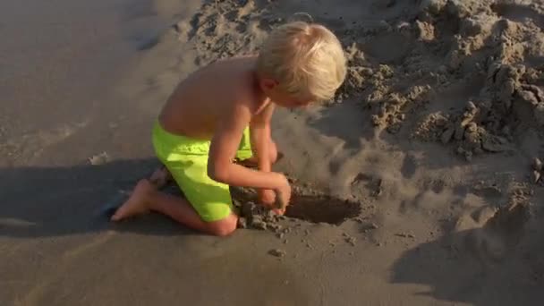 Çocuk güneşli bir günde deniz kenarında çukur kazıyor. Avuç içleriyle kum çıkarıyor. Güzel oyun. — Stok video