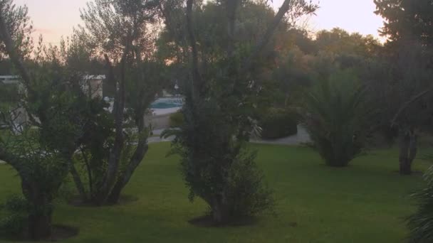 Movimento da câmera amanhecer jardim. A luz do sol brilha através das árvores. — Vídeo de Stock
