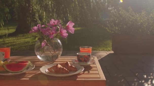Sunlight. A place to absorb food, energy in food. — Vídeo de Stock