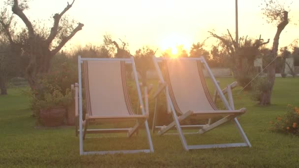 Ve světle zapadajícího slunce sedí na trávě dvě židle. V pozadí, kácet stromy — Stock video
