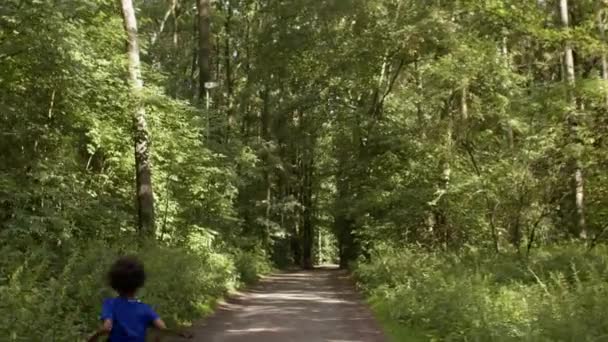 Kids run along the forest path. Brother and sister are playing catch-up. — Stockvideo
