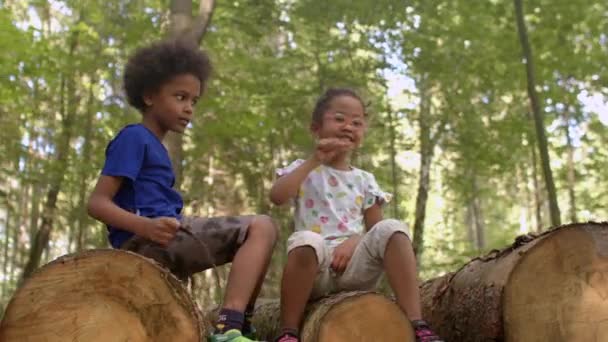 Portrait of playing curly emotionally close children on the logs in a city park. — Stock Video