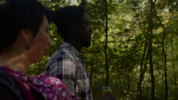 Portrait of caucasian woman and an African American man walking in a summer park — Vídeo de Stock