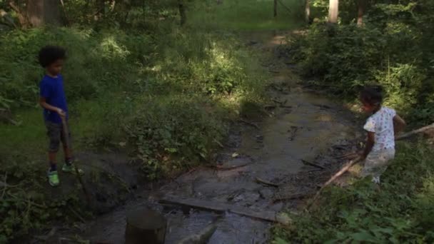 Two children play with sticks by forest stream. Benefits of nature play for kids — Stockvideo