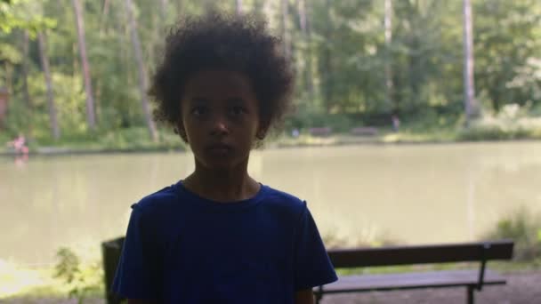 Портрет молодого афроамериканского ребенка, гуляющего в одиночестве в парке. — стоковое видео